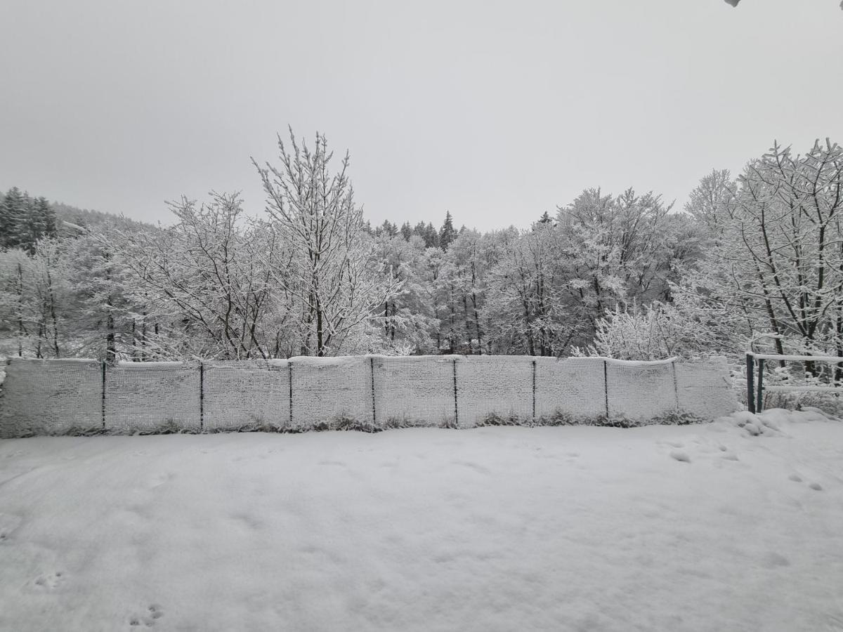 Ferienwohnung Schneeberg Willingen  Εξωτερικό φωτογραφία